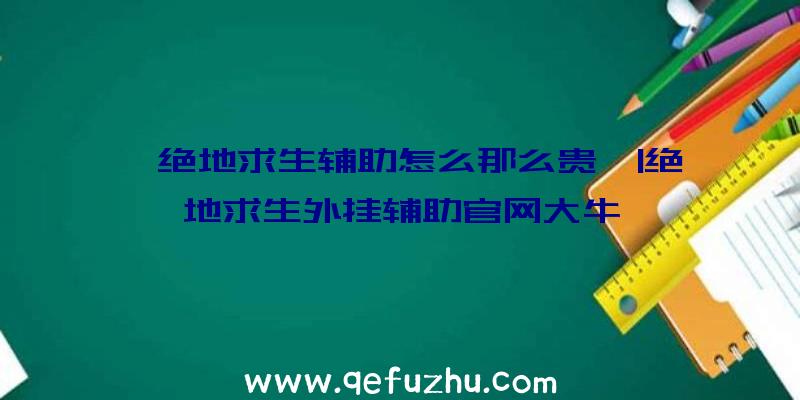 「绝地求生辅助怎么那么贵」|绝地求生外挂辅助官网大牛